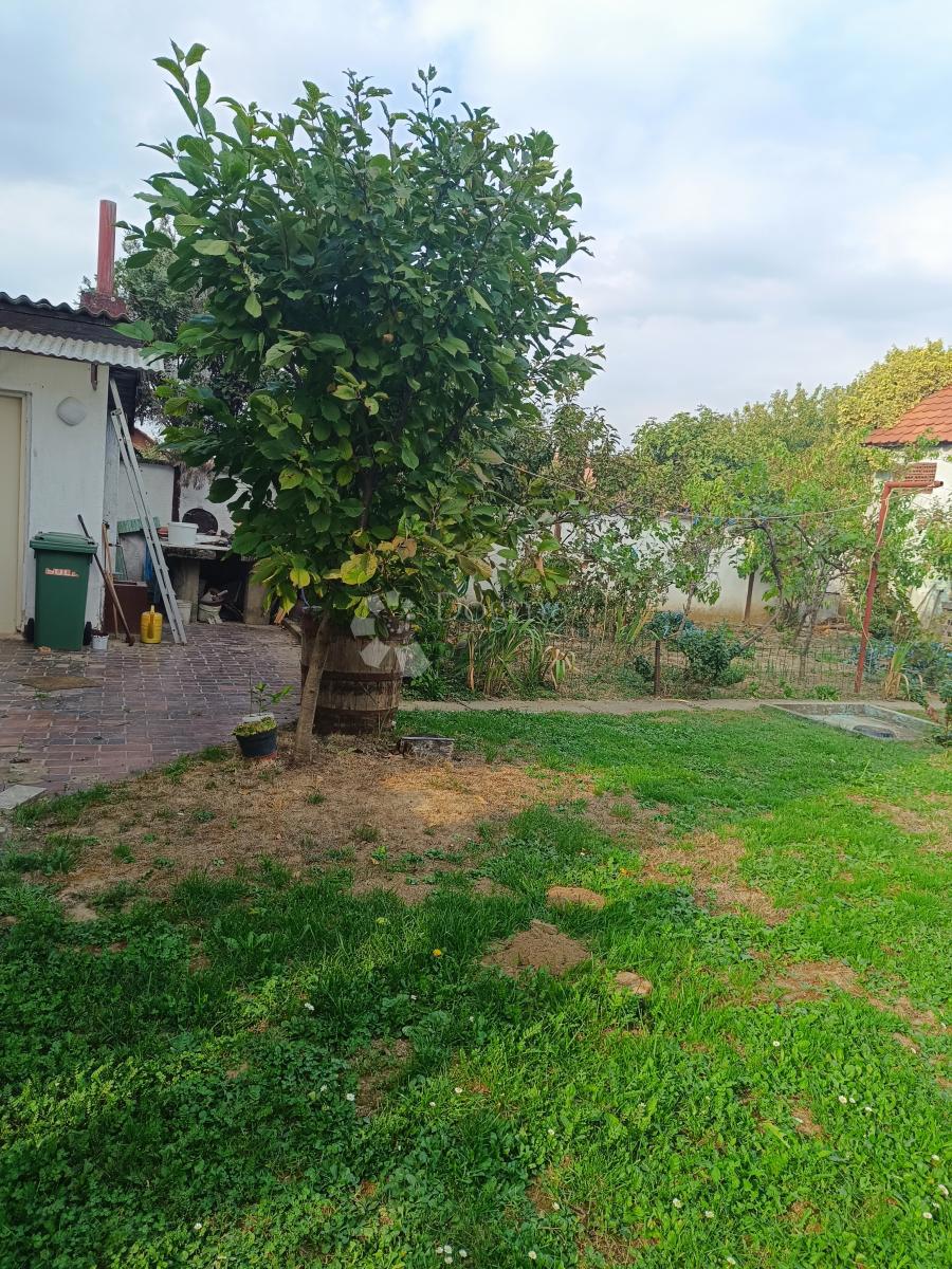 Casa Mitnica, Vukovar, 393m2