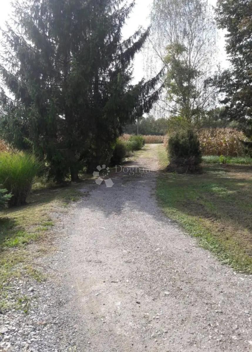 Casa Donji Čemehovec, Dubravica, 200m2