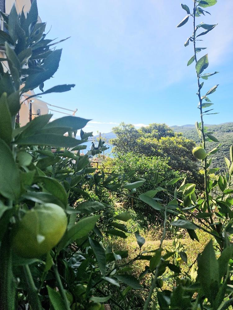 Allogio Rabac, Labin, 70,58m2