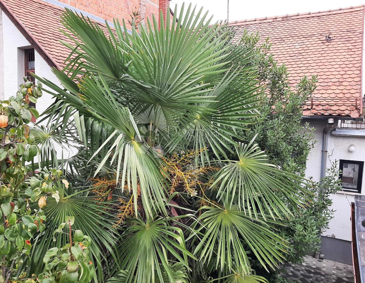 Casa Gornja Dubrava, 116m2