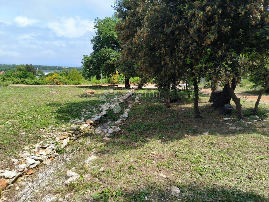 Terreno edificabile Ližnjan, 530m2