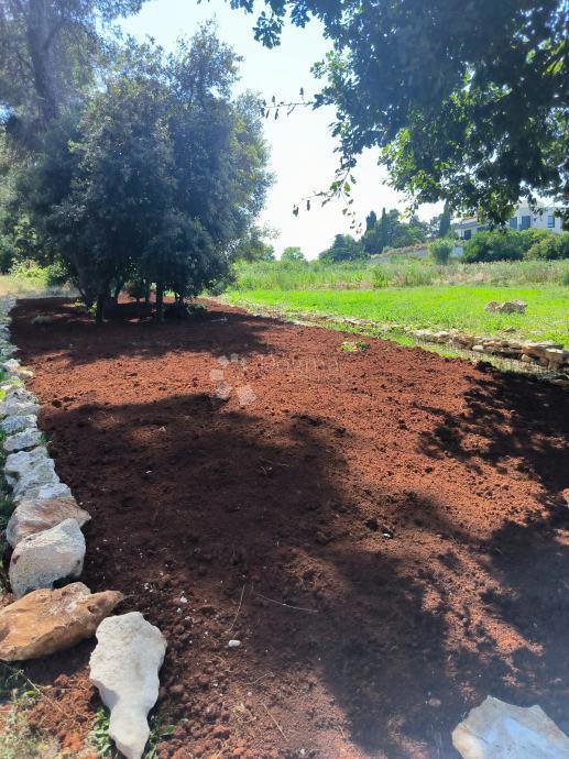 Terreno edificabile Ližnjan, 530m2