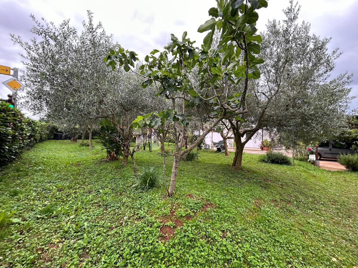 Spaziosa casa con quattro unità abitative, garage e splendido giardino – a solo 1 km dal centro di Umago e dalla spiaggia