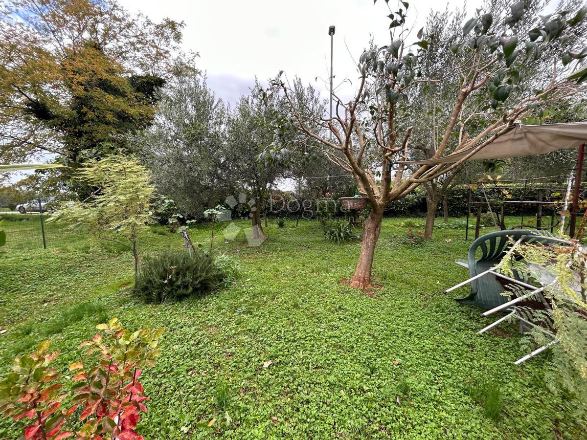 Spaziosa casa con quattro unità abitative, garage e splendido giardino – a solo 1 km dal centro di Umago e dalla spiaggia