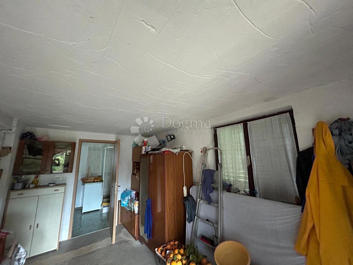 Spaziosa casa con quattro unità abitative, garage e splendido giardino – a solo 1 km dal centro di Umago e dalla spiaggia