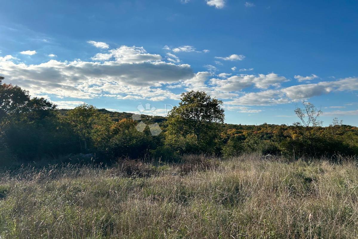 Terreno edificabile Bale, 1.235m2