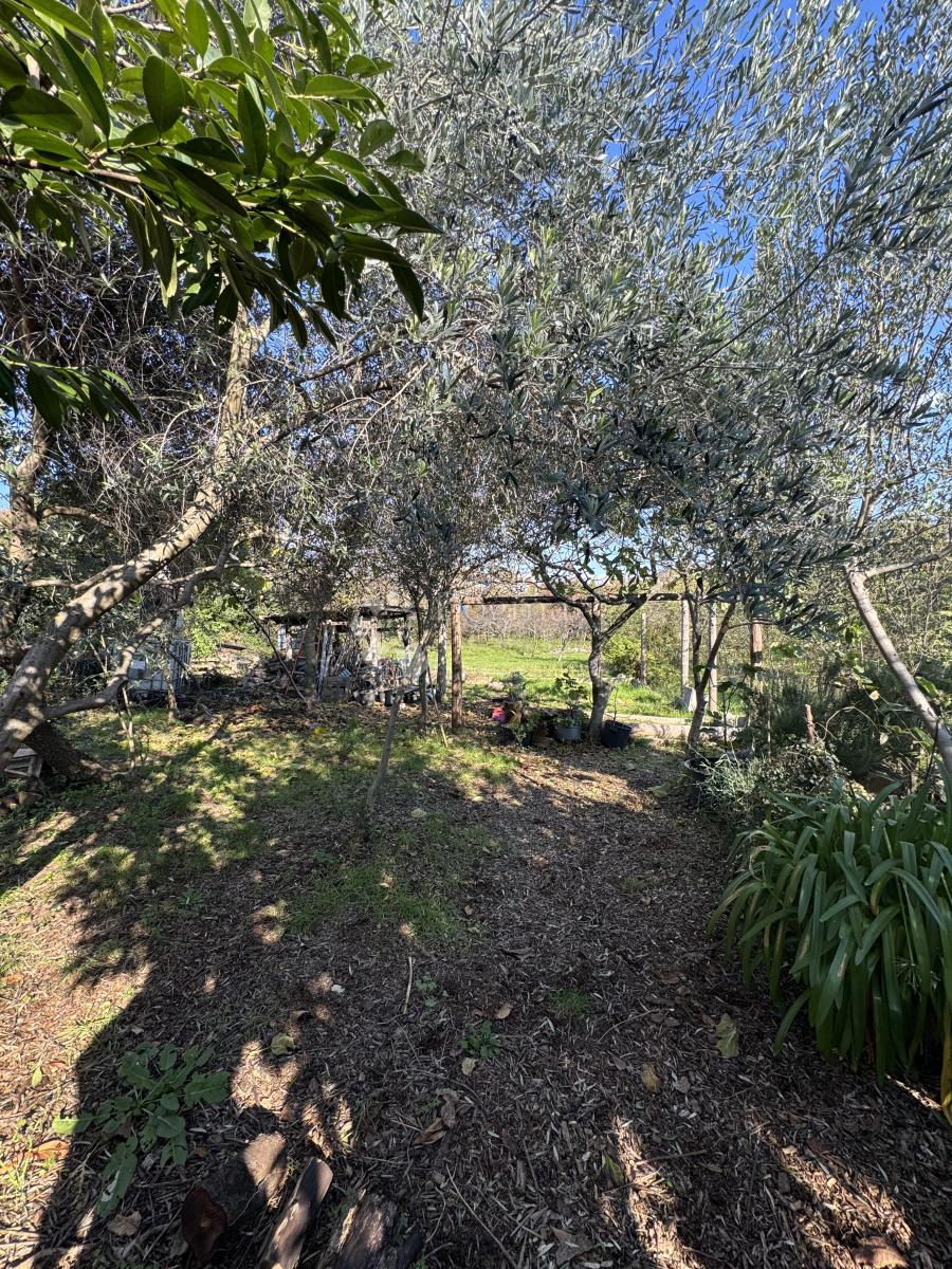 Casa Srdoči, Rijeka, 243m2