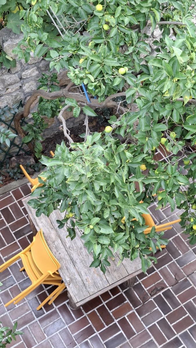 Casa Mali Lošinj, 187,92m2