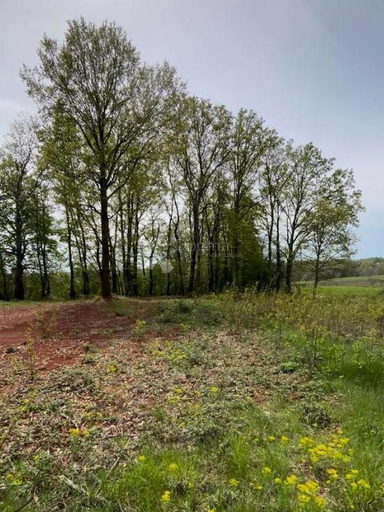 Terreno edificabile Barban, 1.010m2