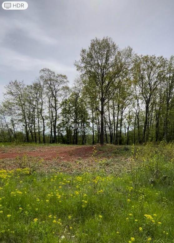 Terreno edificabile Barban, 1.010m2