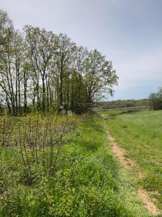 Terreno edificabile Barban, 1.010m2