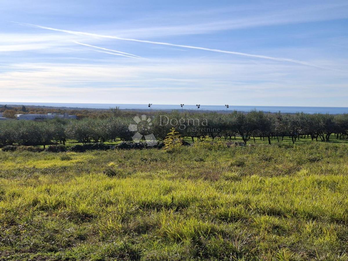 Terreno edificabile Poreč, 751m2