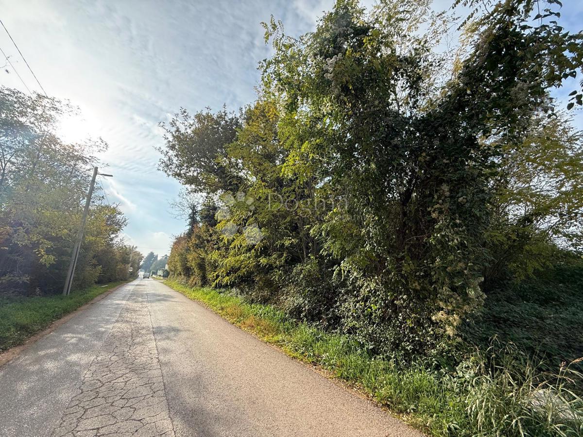 Terreno edificabile Poreč, 4.310m2