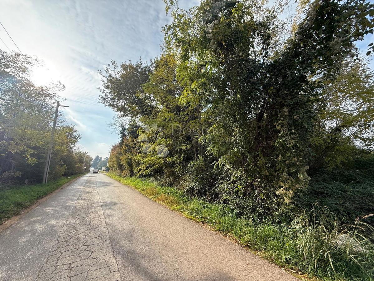 Terreno edificabile Poreč, 4.310m2