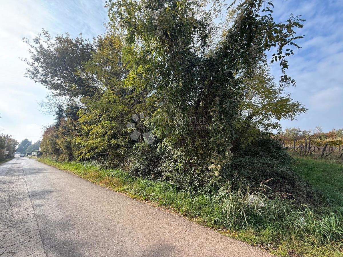 Terreno edificabile Poreč, 4.310m2