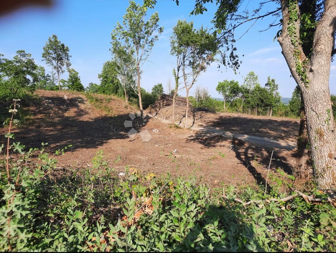 Terreno edificabile Stara Kršlja, Rakovica, 20.077m2