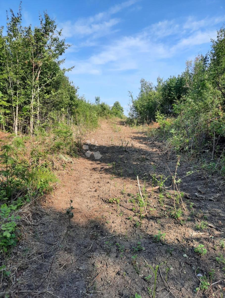 Terreno edificabile Stara Kršlja, Rakovica, 20.077m2