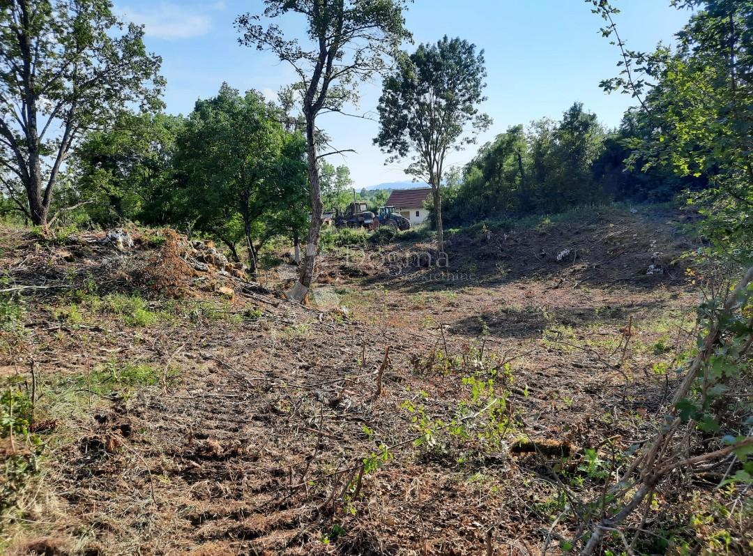 Terreno edificabile Stara Kršlja, Rakovica, 20.077m2