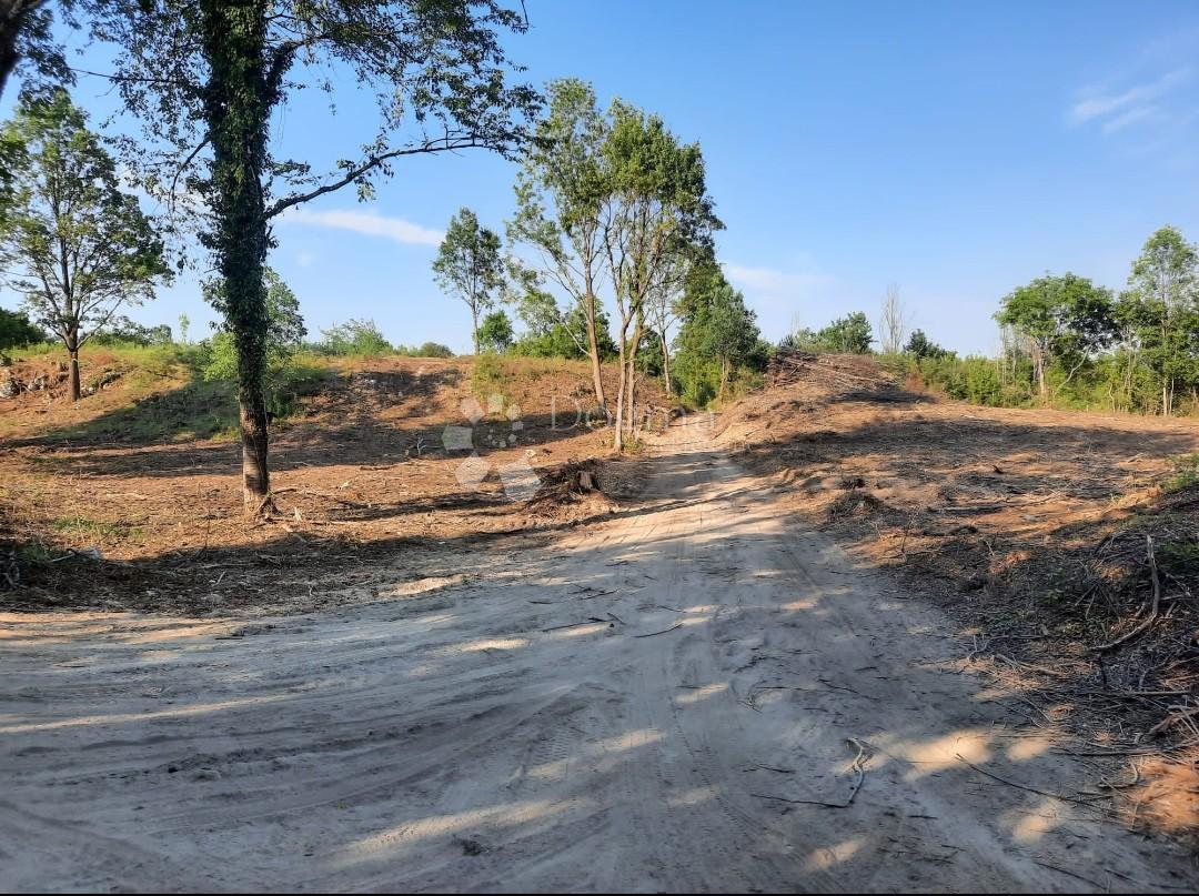 Terreno edificabile Stara Kršlja, Rakovica, 20.077m2