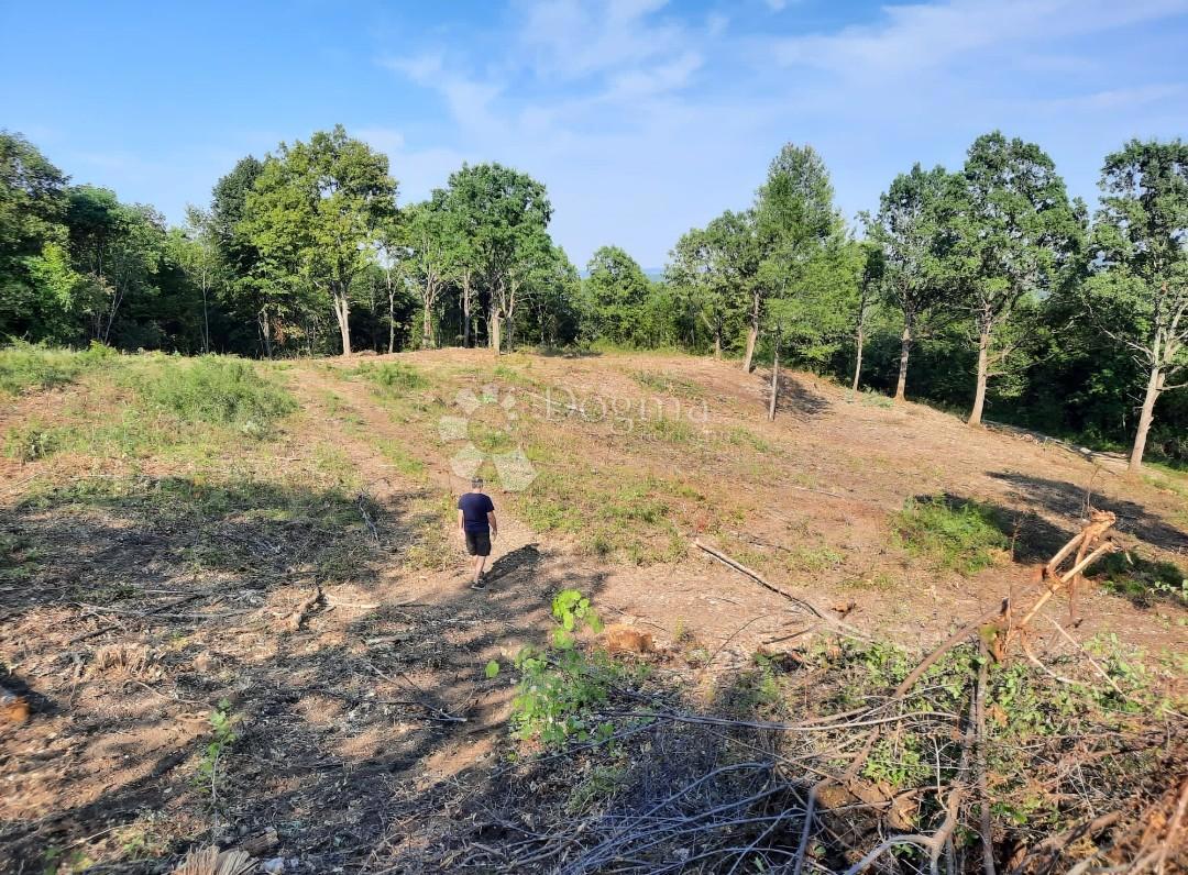 Terreno edificabile Stara Kršlja, Rakovica, 20.077m2