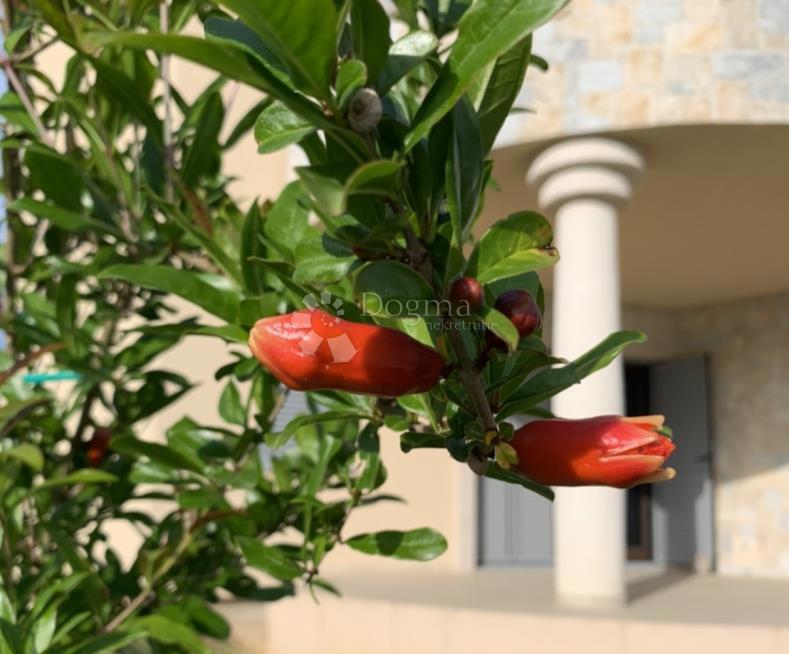 Casa Biograd na Moru, 216m2