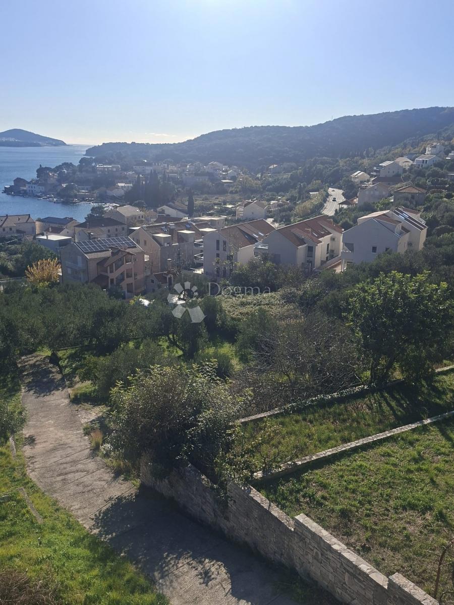 Terreno edificabile Zaton, Dubrovnik - Okolica, 1.545m2