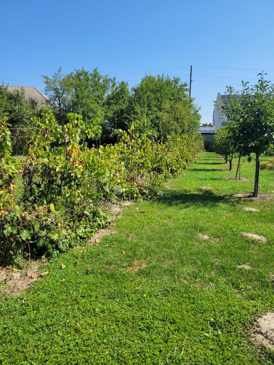 Casa Brođanci, Bizovac, 179m2