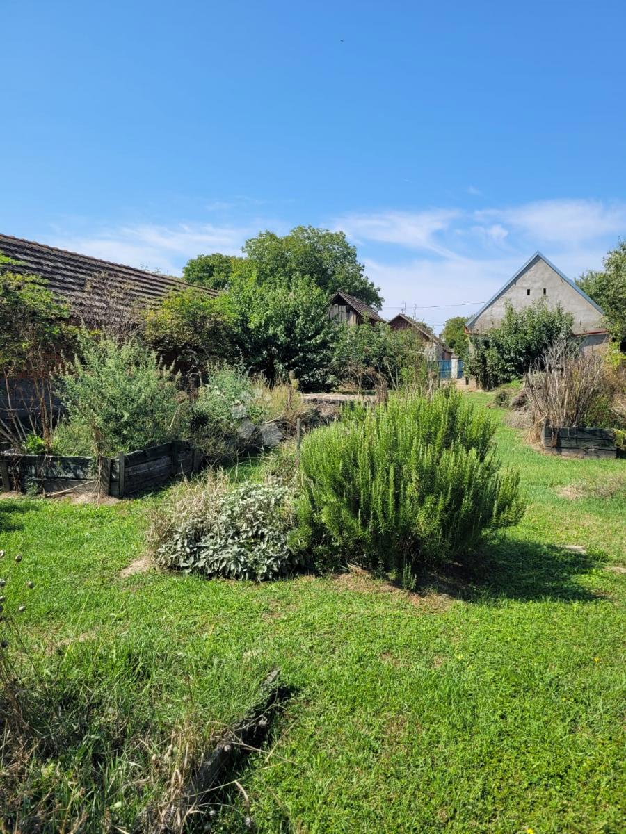 Casa Brođanci, Bizovac, 179m2