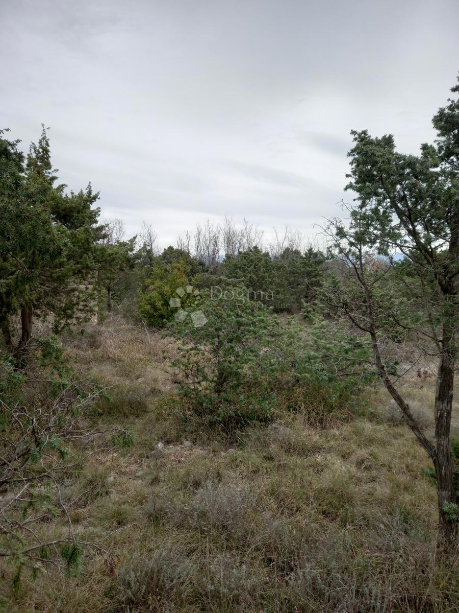 Terreno edificabile Vrsi, 4.337m2