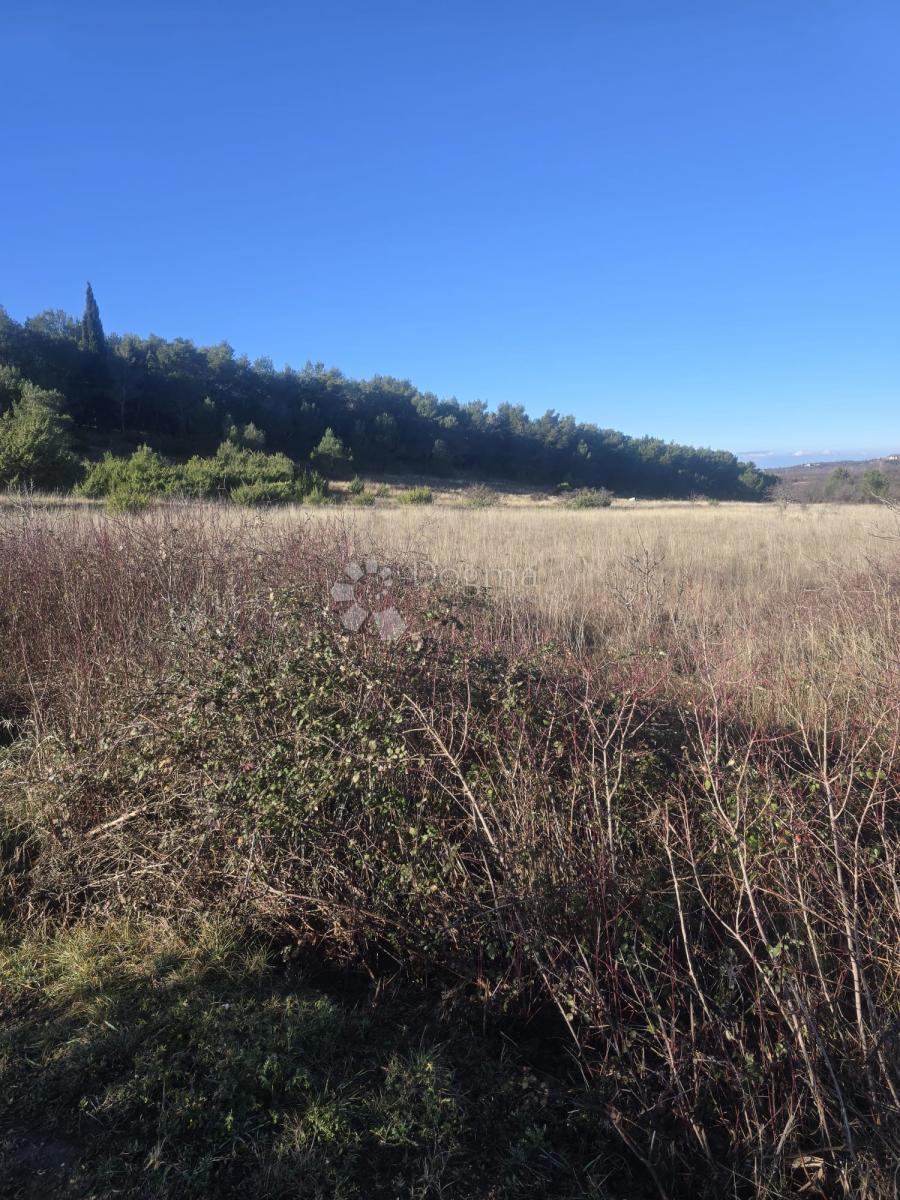 Terreno agricolo Benkovac, 7.065m2