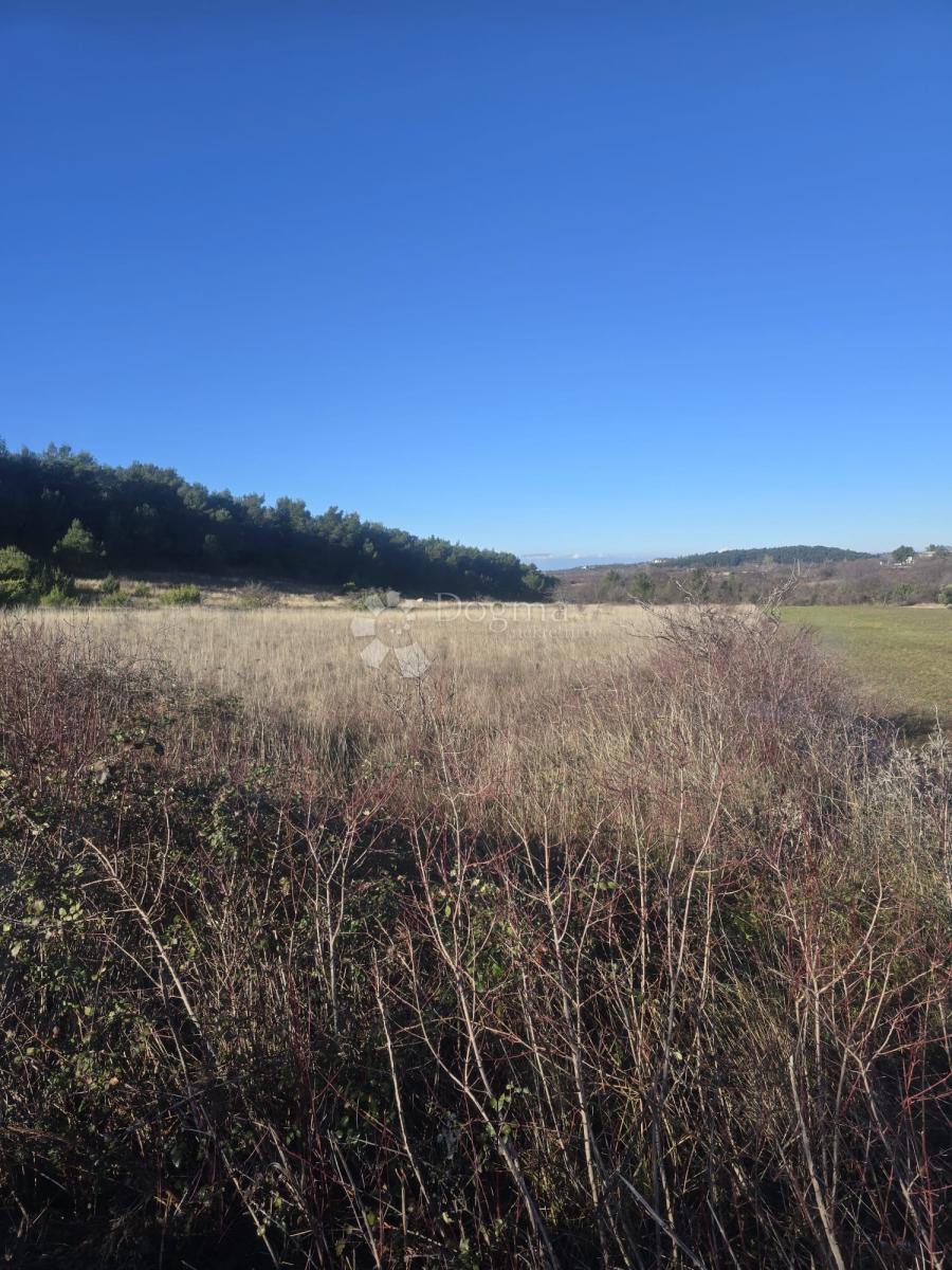 Terreno agricolo Benkovac, 7.065m2