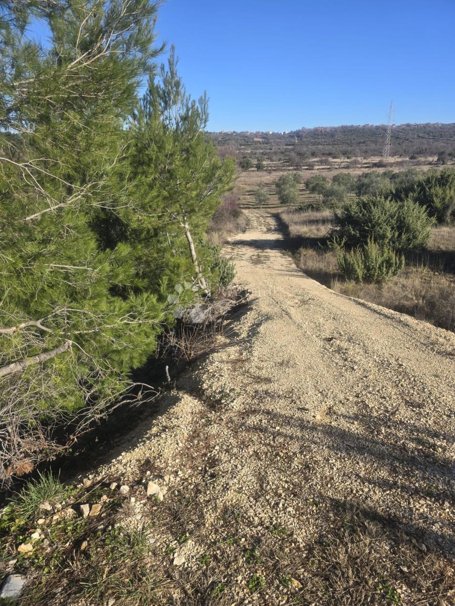 Terreno agricolo Benkovac, 7.065m2