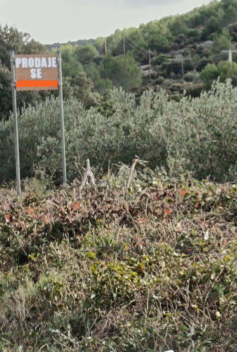 Terreno agricolo Svinca, Marina, 17.035m2