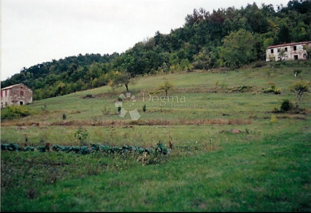 Terreno edificabile Stari Pazin, Pazin, 46.093m2