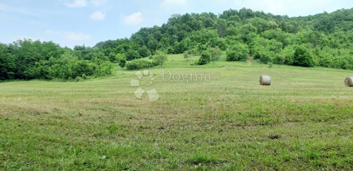 Terreno edificabile Stari Pazin, Pazin, 46.093m2