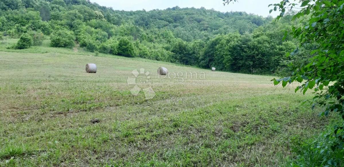 Terreno edificabile Stari Pazin, Pazin, 46.093m2