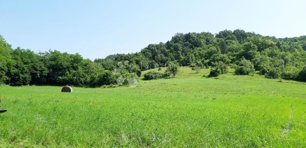 Terreno edificabile Stari Pazin, Pazin, 46.093m2