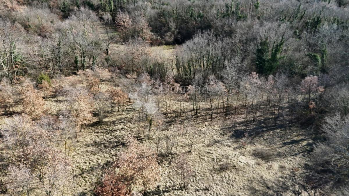 Terreno edificabile Orbanići, Žminj, 3.000m2