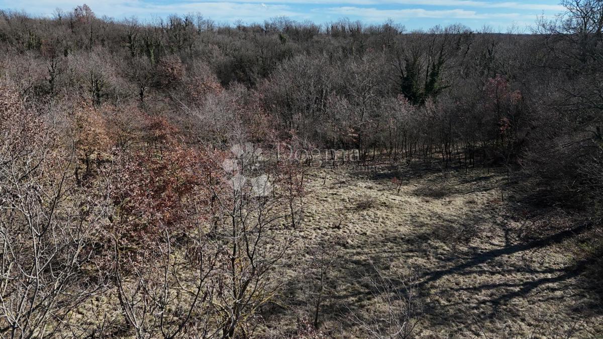 Terreno edificabile Orbanići, Žminj, 3.000m2