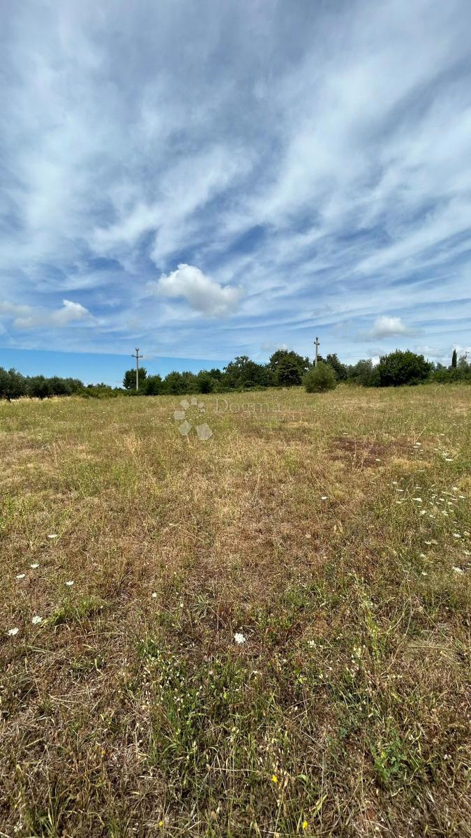 Terreno edificabile 1050 m² vicino all'asfalto, Sveti Lovreč