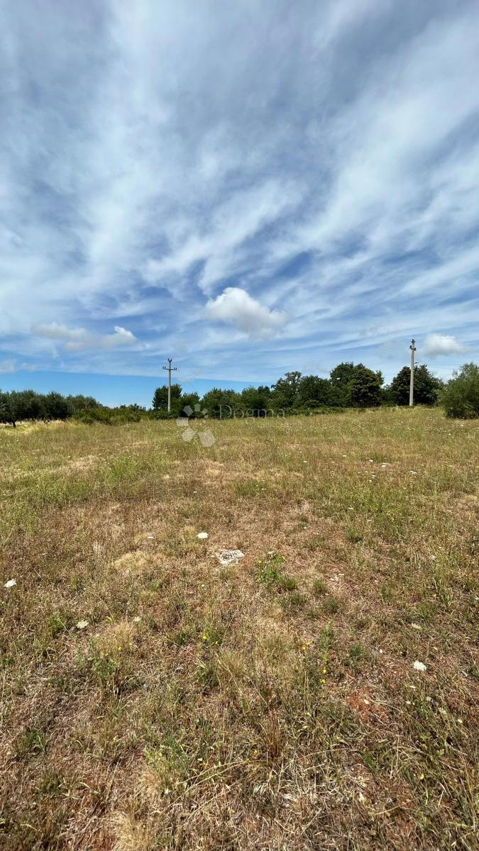 Terreno edificabile 1050 m² vicino all'asfalto, Sveti Lovreč