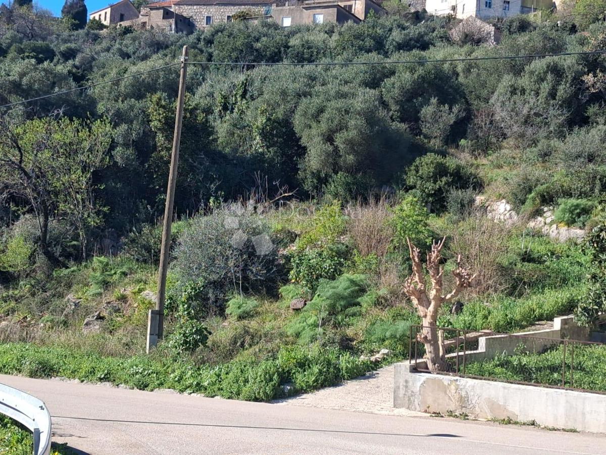 Terreno edificabile Čara, Korčula, 1.216m2