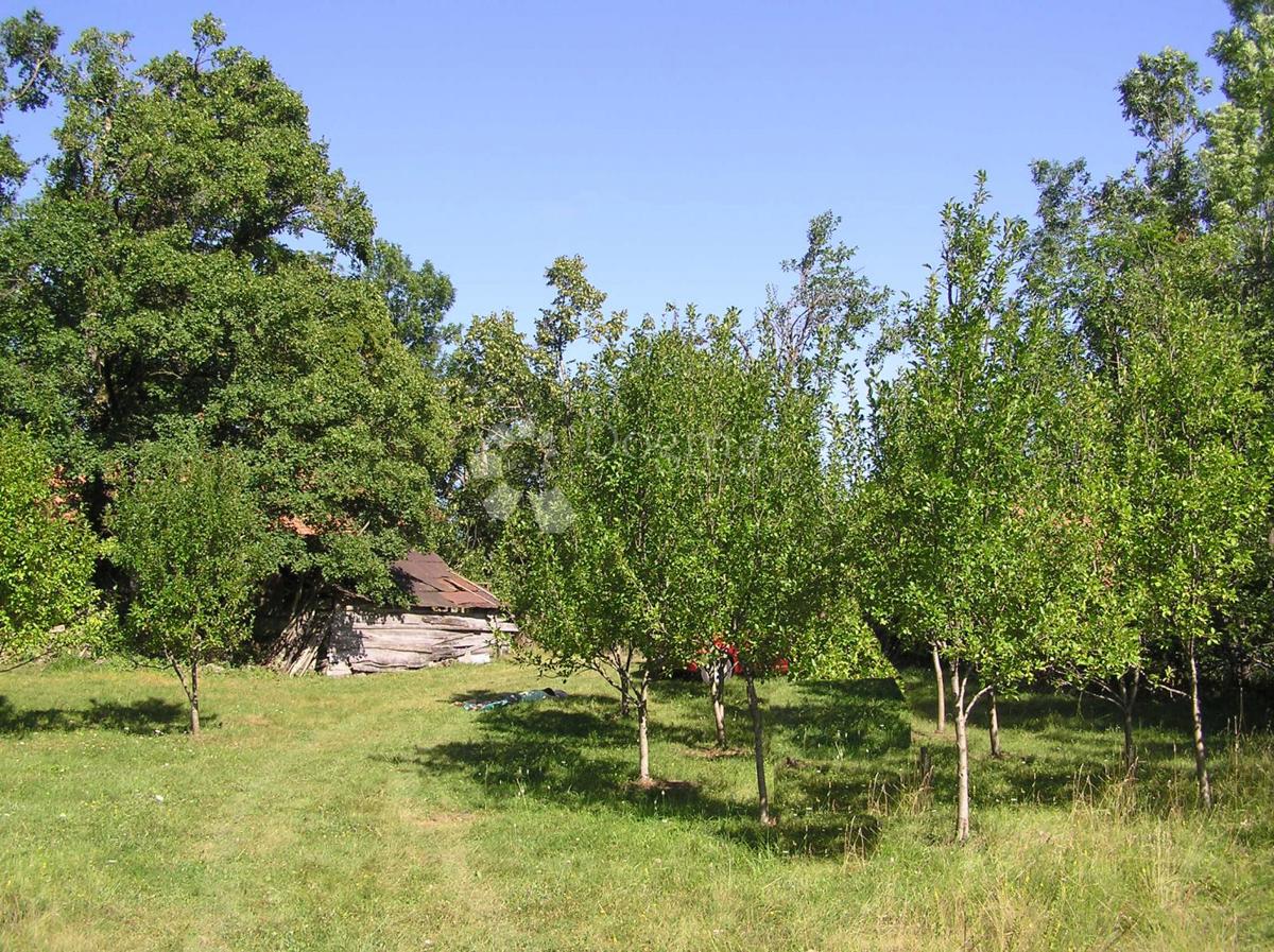 Terreno edificabile Rudopolje Bruvanjsko, Gračac, 58.188m2