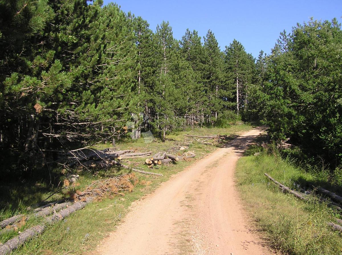 Terreno edificabile Rudopolje Bruvanjsko, Gračac, 58.188m2