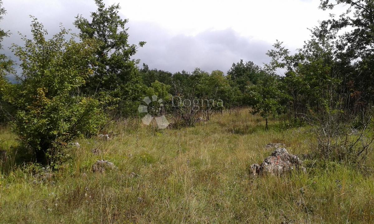 Terreno edificabile Rudopolje Bruvanjsko, Gračac, 58.188m2