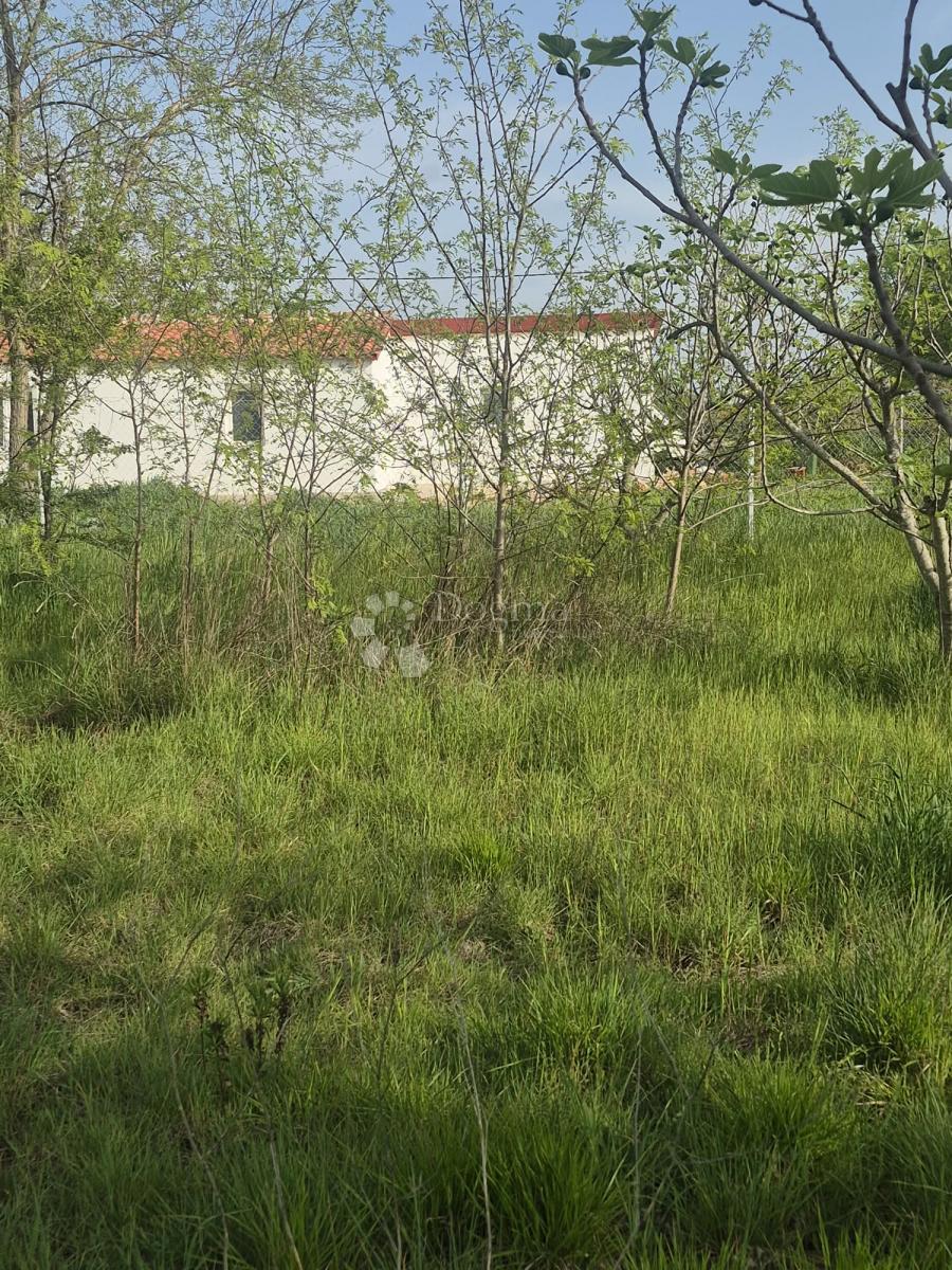 Terreno edificabile Smoković, Zemunik Donji, 2.885m2