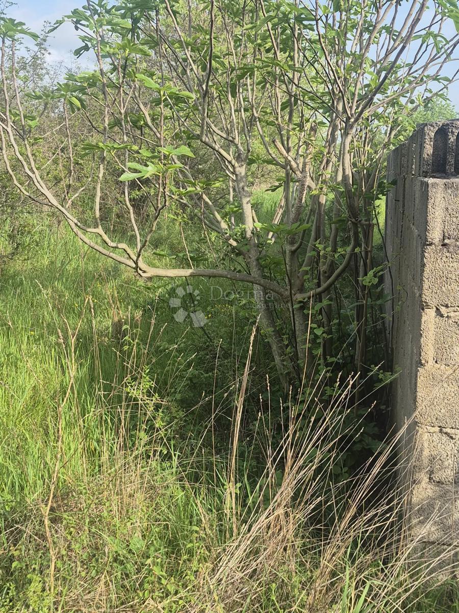 Terreno edificabile Smoković, Zemunik Donji, 2.885m2