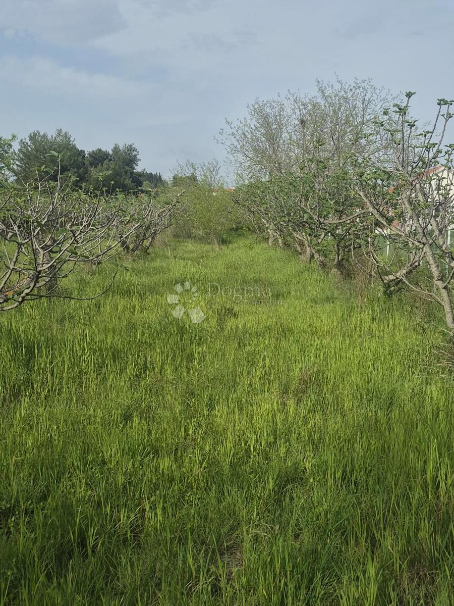 Terreno edificabile Smoković, Zemunik Donji, 2.885m2