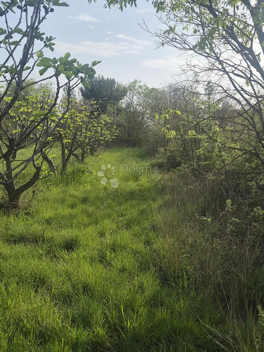 Terreno edificabile Smoković, Zemunik Donji, 2.885m2