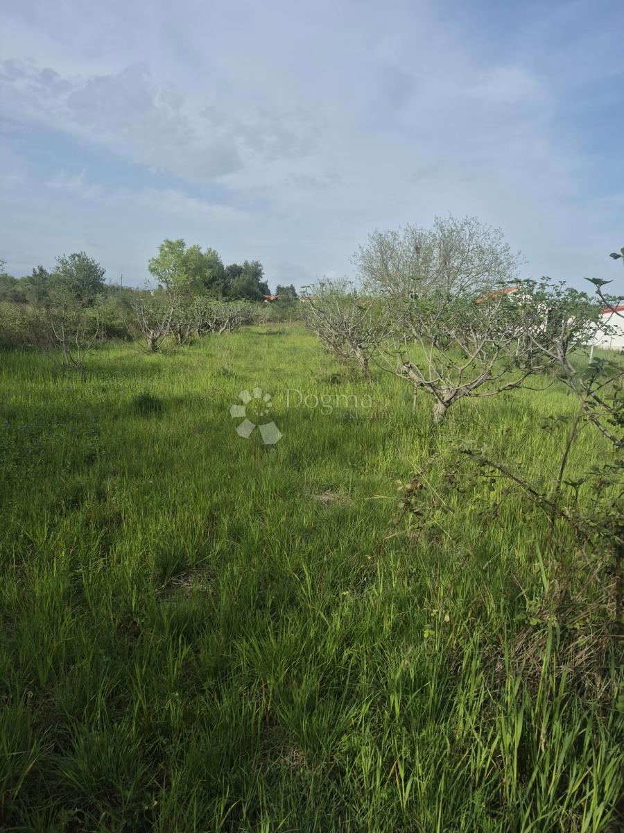 Terreno edificabile Smoković, Zemunik Donji, 2.885m2